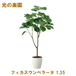 y|Cg3{ Ԍz̊y (2116A295-51) tBJXEx[^ 1.35  95101