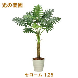 ̊y (2341A170-53) Z[ 1.25  95103