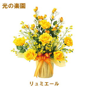 ̊y (2378A100-89) ~G[  95141