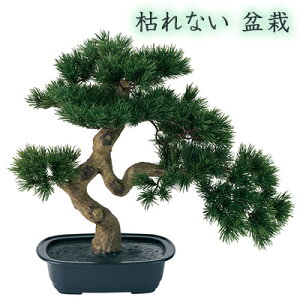  ͂Ȃ ~ (FZ000780)  lH ϗtA tFCNO[  94268