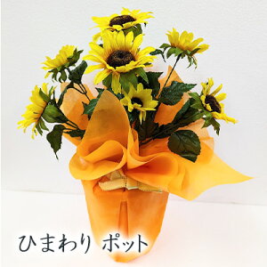 y|Cg3{ Ԍz  Ђ܂ |bg ( kg-21)  lH ϗtA tFCNO[  94275