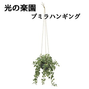  ̊y (2517A570) v~ nMO  lH ϗtA tFCNO[G}  94304