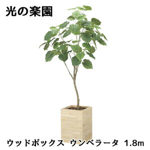  ̊y (2513A680) Ebh{bNX Ex[^ 1.8m  lH ϗtA tFCNO[G}  94314