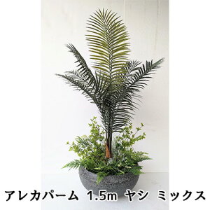  AJp[ 1.5m V ~bNX (kjc-5)  lH ϗtA tFCNO[  94329