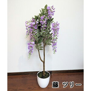   c[ (458411)  lH ϗtA tFCNO[  94334