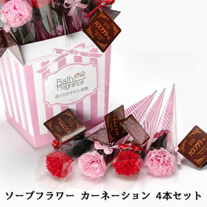 y|Cg3{ Ԍz \[v t[ J[l[V 4{Zbg (806971)  lH ϗtA tFCNO[  94338