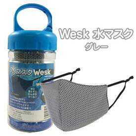 【訳あり 在庫処分】Wesk wet mask 水 マスクグレー (薄いグレー) 2枚入 + 専用ボトル ×8本 送料無料 03217