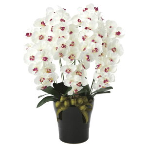 ̊y (653K200-78) v~AӒ5{W/AB  92630