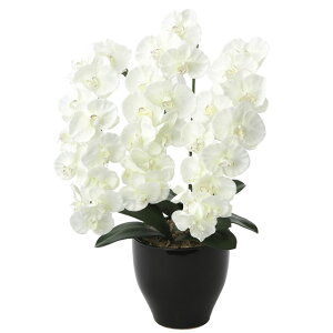 ̊y (659K135-78) v~AӒW  92643