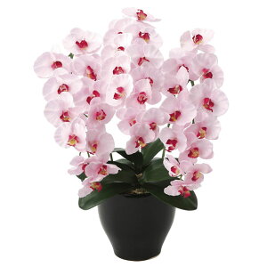 ̊y (660K135-78) v~AӒP  92644