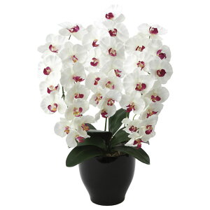 ̊y (661K135-78) v~AӒW/AB  92645