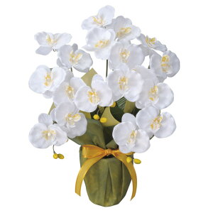 y|Cg3{ Ԍz̊y (25K40-80) ~fBӒW  92657