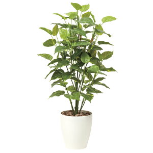 ̊y (513A150-57) |gX1.0  92469