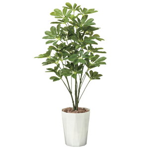 y|Cg3{ Ԍz ̊y (514A150-56) VFt90  92449