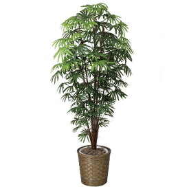 楽天市場 造花 種類 植物 シュロチク 造花 人工観葉植物 花 観葉植物 花 ガーデン Diyの通販