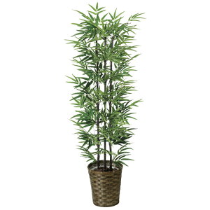 ̊y (178A230-33) |1.35i:VR|j  92395