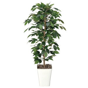 ̊y (189K180-56) tBJXxW~1.2  92442