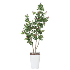 ̊y (366C220-57) nbNx[1.25  92467