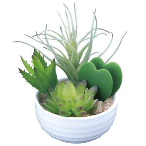 ̊y (232A40-66) 񂹐Au[  92566