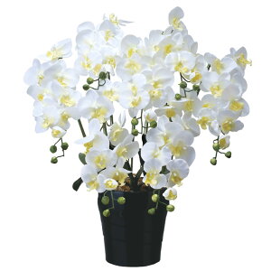 ̊y (451A200-80) LOӒ7{W  92649