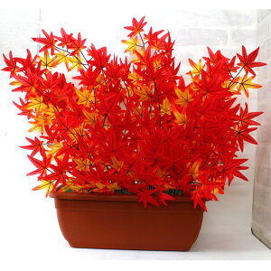 �y�|�C���g3�{ 2/4 20���`�z���yfs-9950pl�z���~�W�v�����^�[ �������� 92904