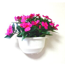 【ポイント3倍 1/9 20時〜】●【gls-91】インパチェンス 壁タイプ 濃いピンク 送料無料 92915