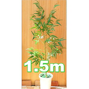 [s-01k]  1.5m fBXvC  92925