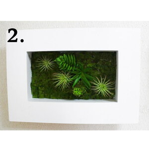 y|Cg3{ Ԍz yff-0011z{^jJyt[ 2z  92944