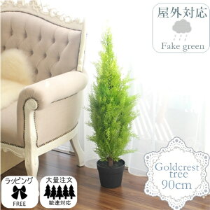 ( wgs-111402 ) S[hNXg  93764