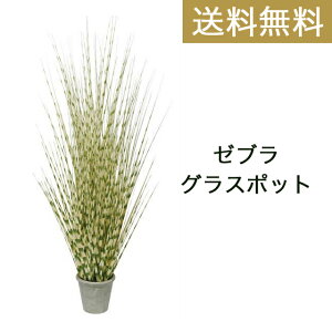 �y�|�C���g3�{ 2/4 20���`�z���[�u���O���X�|�b�g �m gla-1396 �n �������� 93824