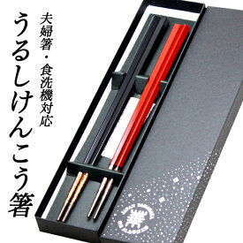 【ポイント3倍 期間限定】 ●華正工房 うるしけんこう箸 食洗機対応 夫婦箸【C-41_42_SET】送料無料 19001