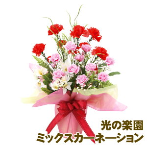 ̊y (858A50-95) ~bNXJ?l?V  93945