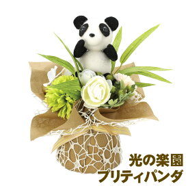 楽天市場 胡蝶蘭 パンダの通販