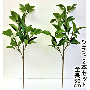  VL~ 2{Zbg [012002]  73920