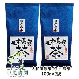 【ポイント3倍 期間限定】 【郵送】中尾農園 奈良県田原産 大和高原茶 特上 煎茶 100g ×2袋 送料無料 79612