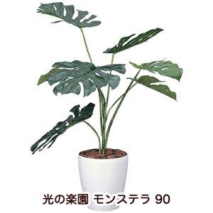 y|Cg3{ Ԍz ̊y (213K130-52) Xe 90  94137