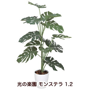 �y�|�C���g3�{ 5/9 20������z�����̊y�� (369K220-52) �����X�e�� 1.2 �������� 94139