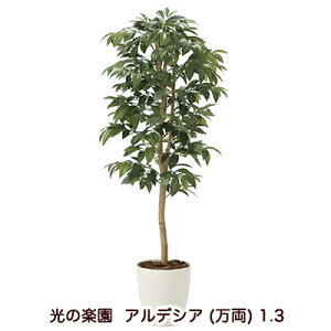 ̊y (2033A200-54) AfVA () 1.3  94183