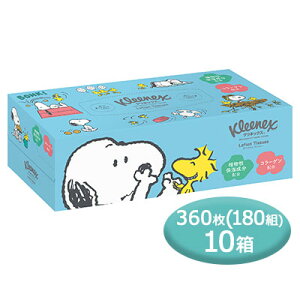 [] NlbNX [VeBbV Xk[s[ 360(180g) ×10 eBbVy[p[  00067