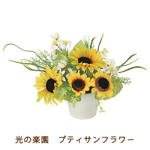 ̊y (918H30-98) veB Tt[ Ђ܂  94077