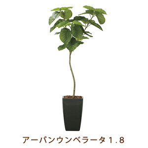 ̊y (2257K720-22) A[o Ex[^ 1.8  99451