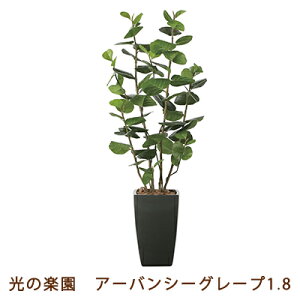 ̊y (2245K630-23) A[o V[O[v 1.8  99452