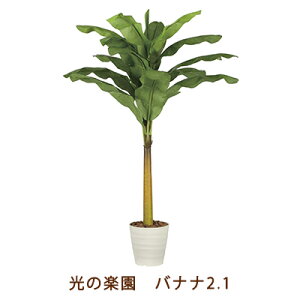 y|Cg3{ Ԍz̊y (2209A350-27) oii 2.1  99459