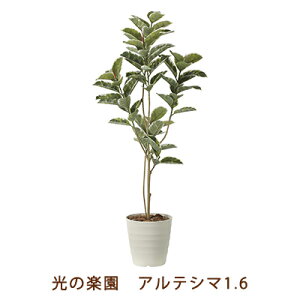 ̊y (2219A280-28) AeV} 1.6  99461