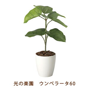 ̊y (2292K80-55) Ex[^ 60  99475