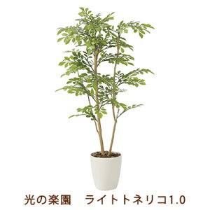 ̊y (2232A180-56) Cg glR 1.0  99482