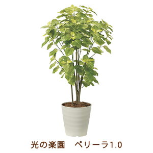 ̊y (2225A150-57) y[ 1.0  99483