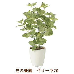 y|Cg3{ Ԍz̊y (2271K100-59) y[ 70  99489