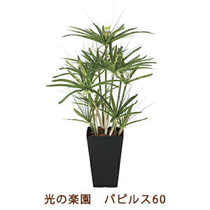 ̊y (2296A120-64) psX 60  99498