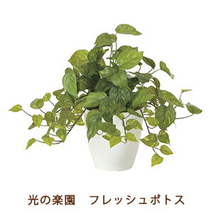 ̊y (2252A50-66) tbV |gX  99501